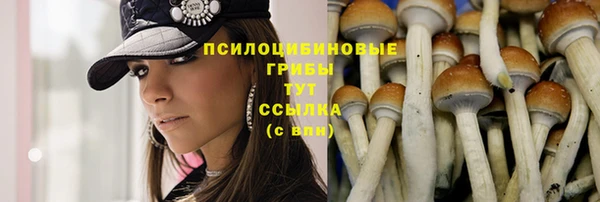 гашиш Абаза