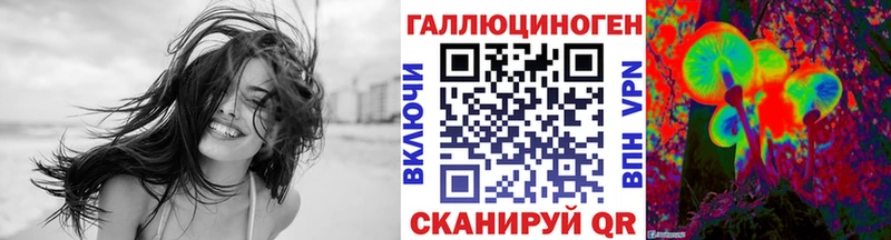 Галлюциногенные грибы Psilocybine cubensis  Сергач 